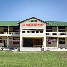 Apex Professional University, Pasighat